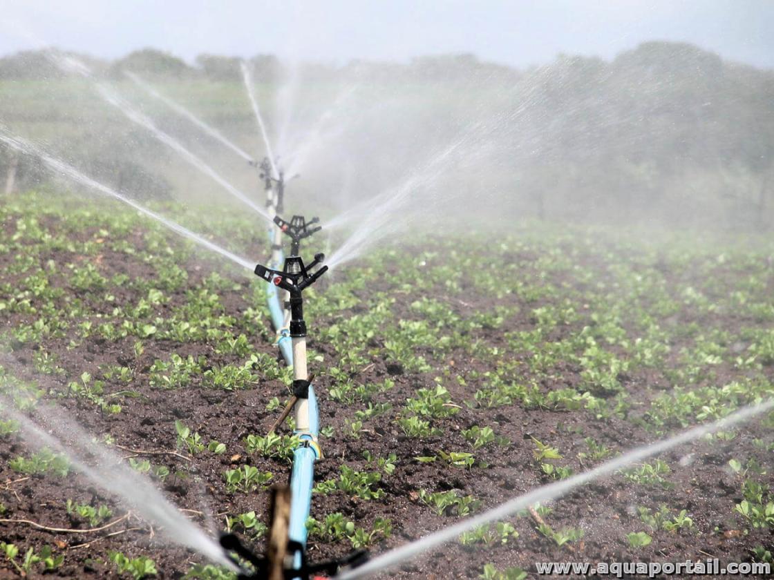 Irrigation aspersion Sessene