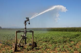 Irrigation agricole